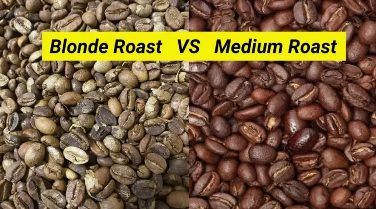 Blonde vs. Medium Roast